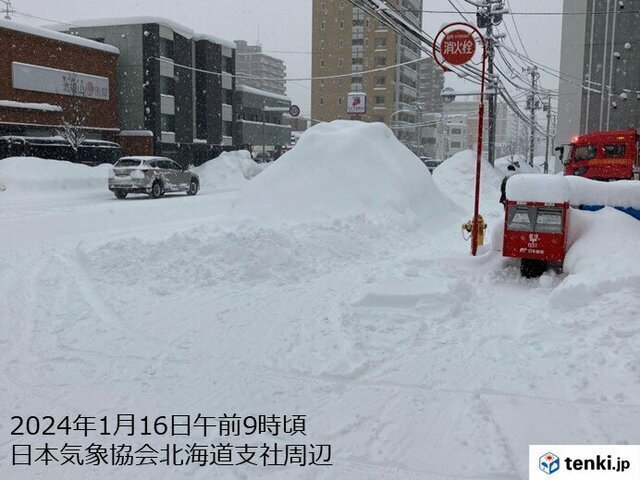 현재 일본 삿뽀로 상황.jpg | 인스티즈