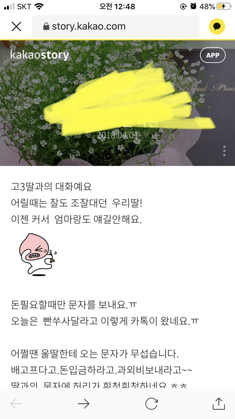 아 울엄마 카스에 이런거 올렸었네 | 인스티즈