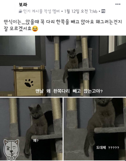 만식이는 앉을때 꼭 다리 한쪽을 빼고 앉아요.jpg - 막이슈 - 쭉빵카페 만식이는 앉을때 꼭 다리 한쪽을 빼고 앉아요.jpg