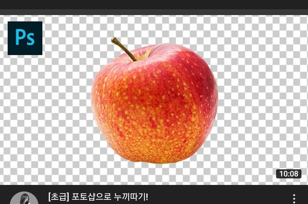 ㅋ유튜브에 뭘 검색한다는 게 이해가 안 되는 사람들 | 인스티즈