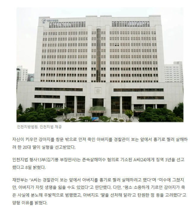 "반려견 죽였다”···경찰관 앞에서 아버지 흉기로 살해하려 한 딸 | 인스티즈