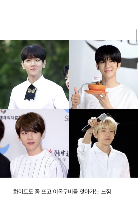 엑소 백현 퍼스널 컬러 분석 | 인스티즈