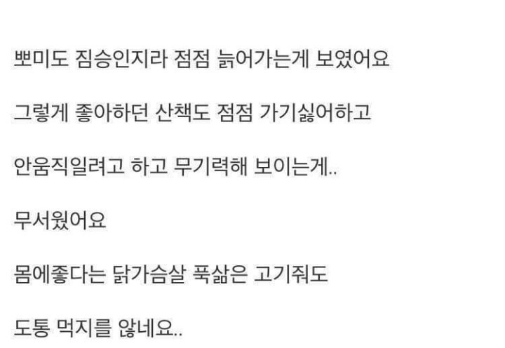 18년키운 강아지가 죽었는데 | 인스티즈