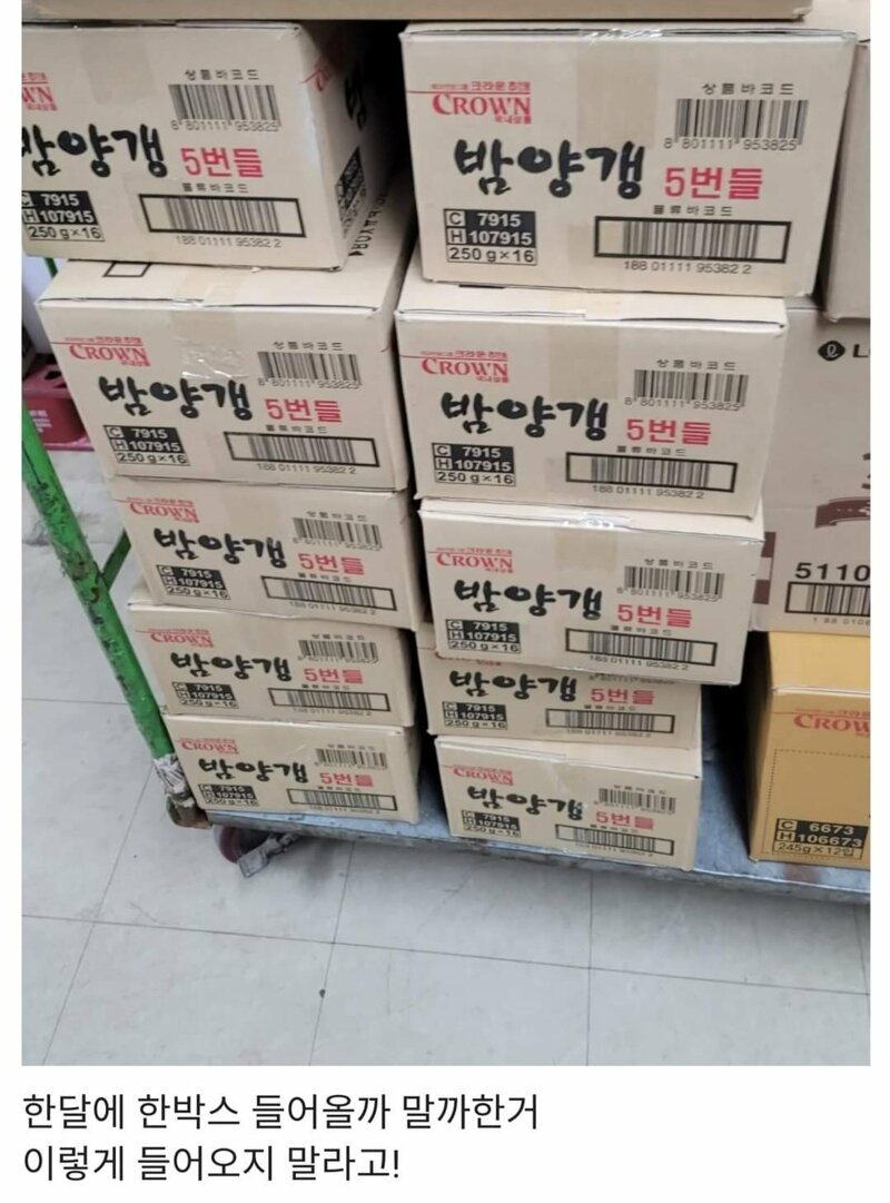 비비가 누군진 모르겠는데.... | 인스티즈