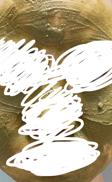 곡물팩 처돌이가 추천하는 효과 쩌는 곡물팩 후기 (+수분낭낭 곡물팩 제조법) | 인스티즈