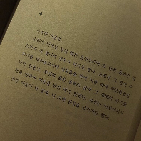 내가도망친다해도사랑해줄래? | 인스티즈