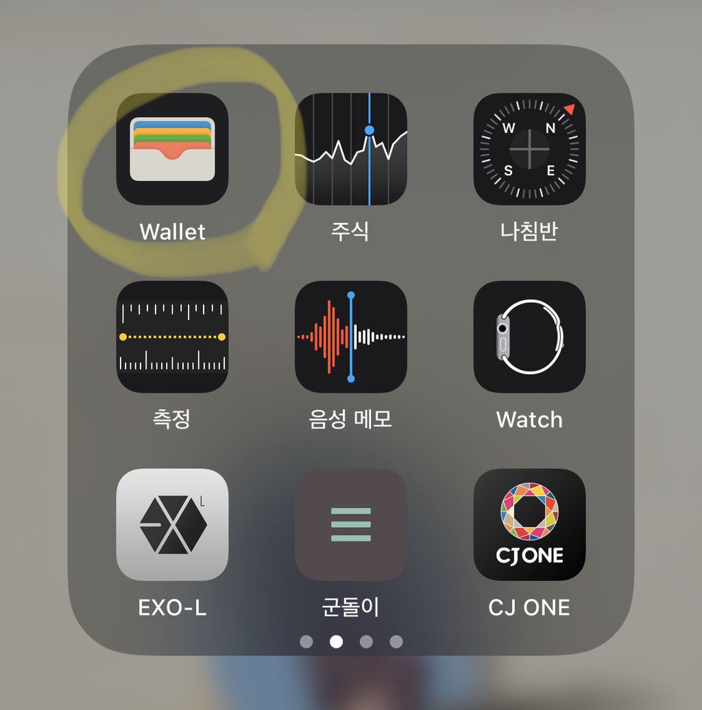 애플쓰는 친구들 애플월렛 쓰니? - 막생정 - 쭉빵카페
