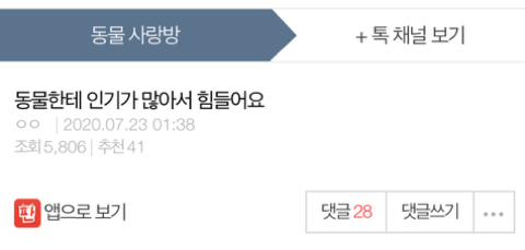 동물한테 인기가 많아서 힘들어요 | 인스티즈