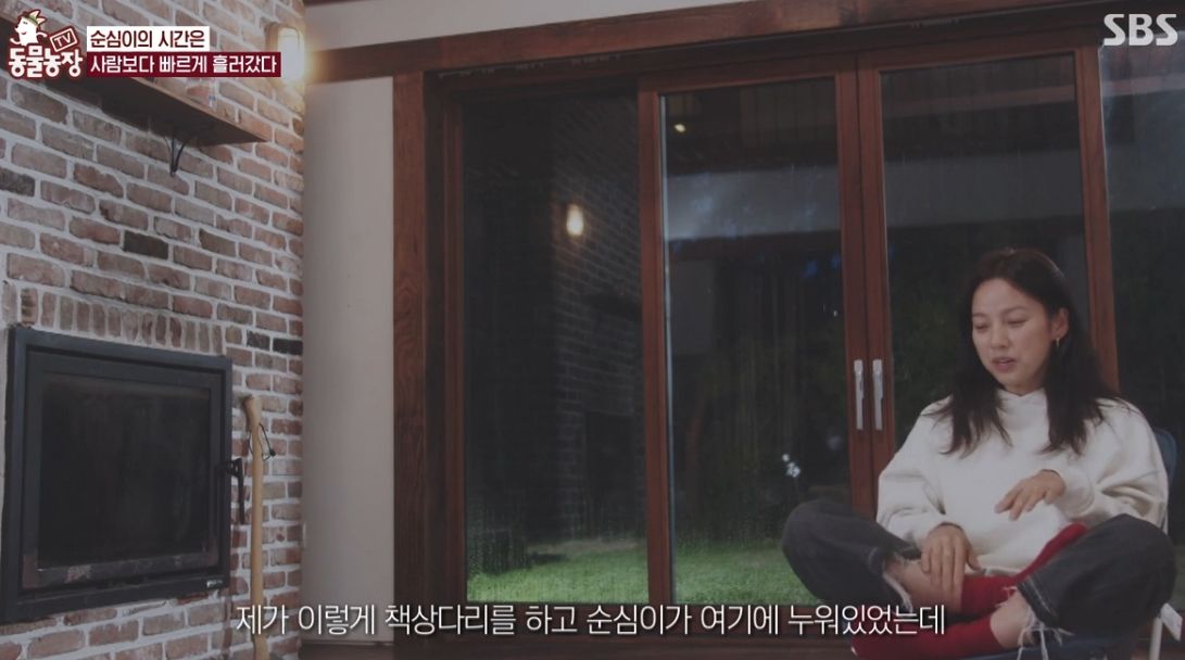 이효리 반려견 순심이가 죽기 전 다른 동물들이 보인 반응 | 인스티즈