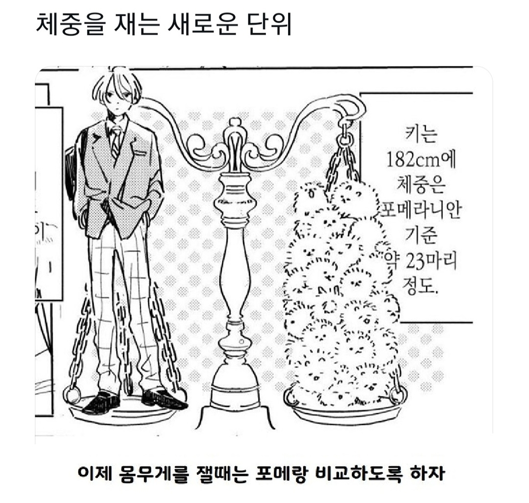 키 182cm, 체중 23포메라니안 | 인스티즈