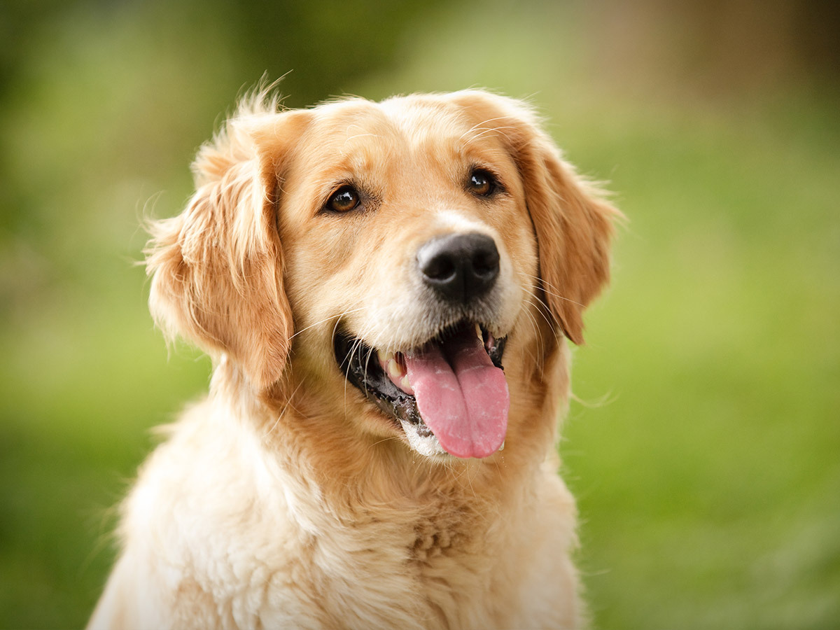 인터넷에서 이름을 잃어버린 자들 | 인스티즈