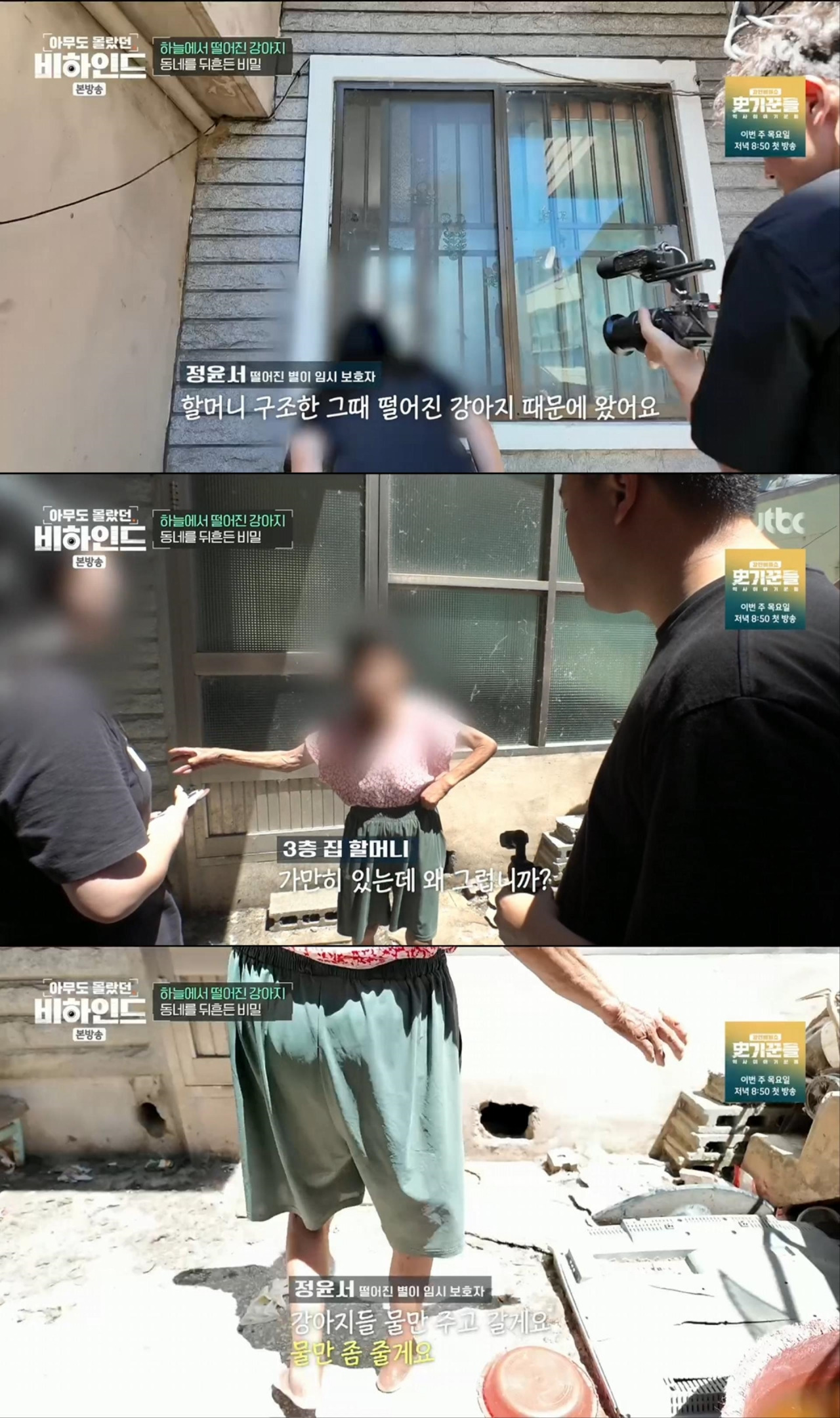 할머니와 할아버지와 함께 쓰레기집에서 살던 18마리의 강아지들 | 인스티즈