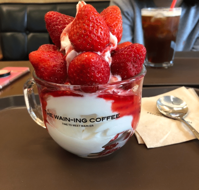 요거트 아이스크림이 진짜 맛있는 걸로 유명한 지방 카페 체인 | 인스티즈