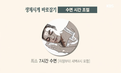 생체리듬 바로 잡는 생활습관 | 인스티즈