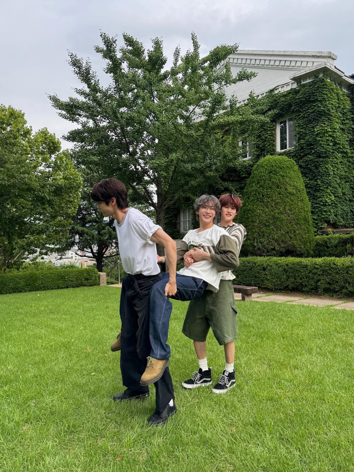라이즈 이미지
