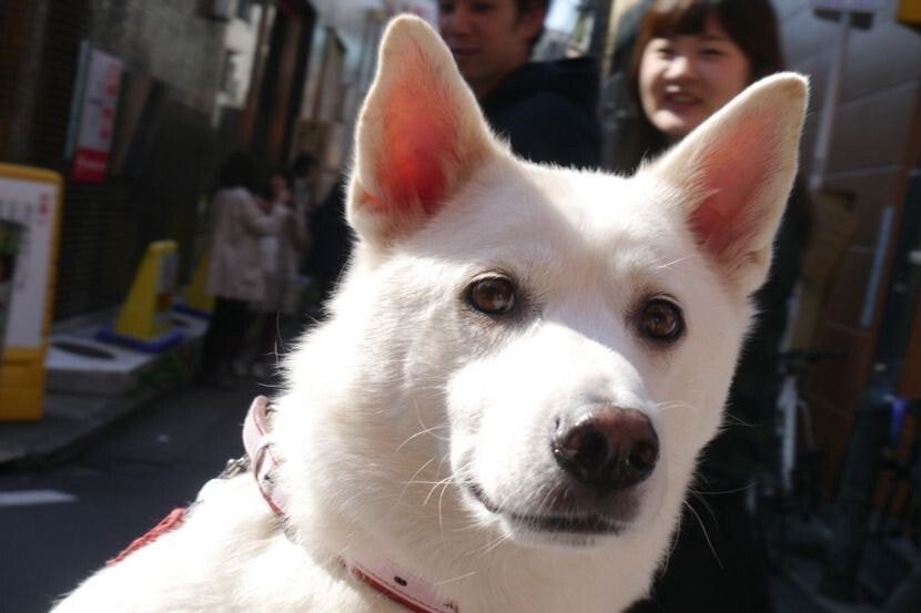 잘..지내는구나.. | 인스티즈