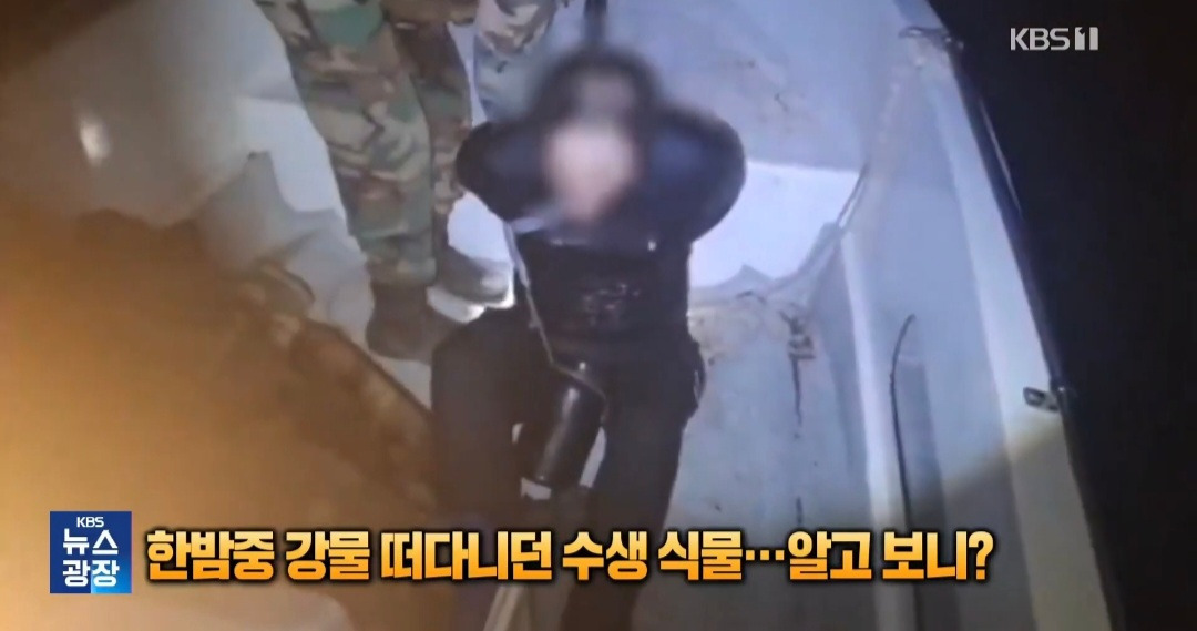 아르헨티나 강물 떠다니던 식물의 정체 | 인스티즈