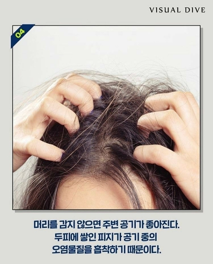 머리를 안 감으면 좋은점 jpg | 인스티즈