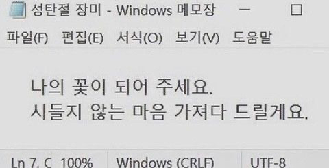사랑은 낭만적이라 지독하리만큼 아프고 금방 시들어버려서 | 인스티즈