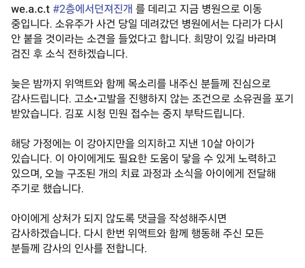 10살 아이가 보는 앞에서 창문으로 강아지 던짐 | 인스티즈