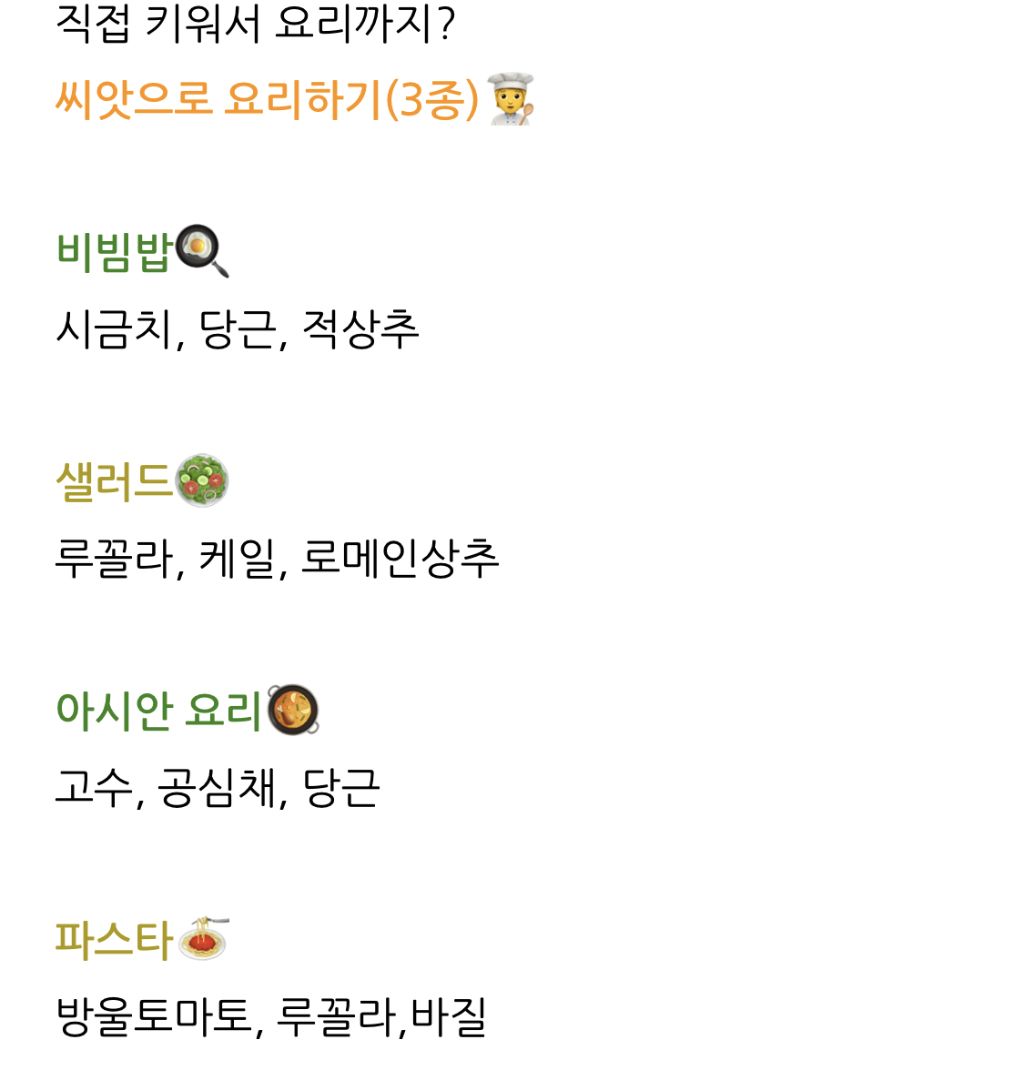 다이소 신상 씨앗으로 요리하기 | 인스티즈