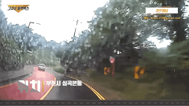 굽이진 산길에서 운전할때 스팀이 확 돋는 경우 | 인스티즈