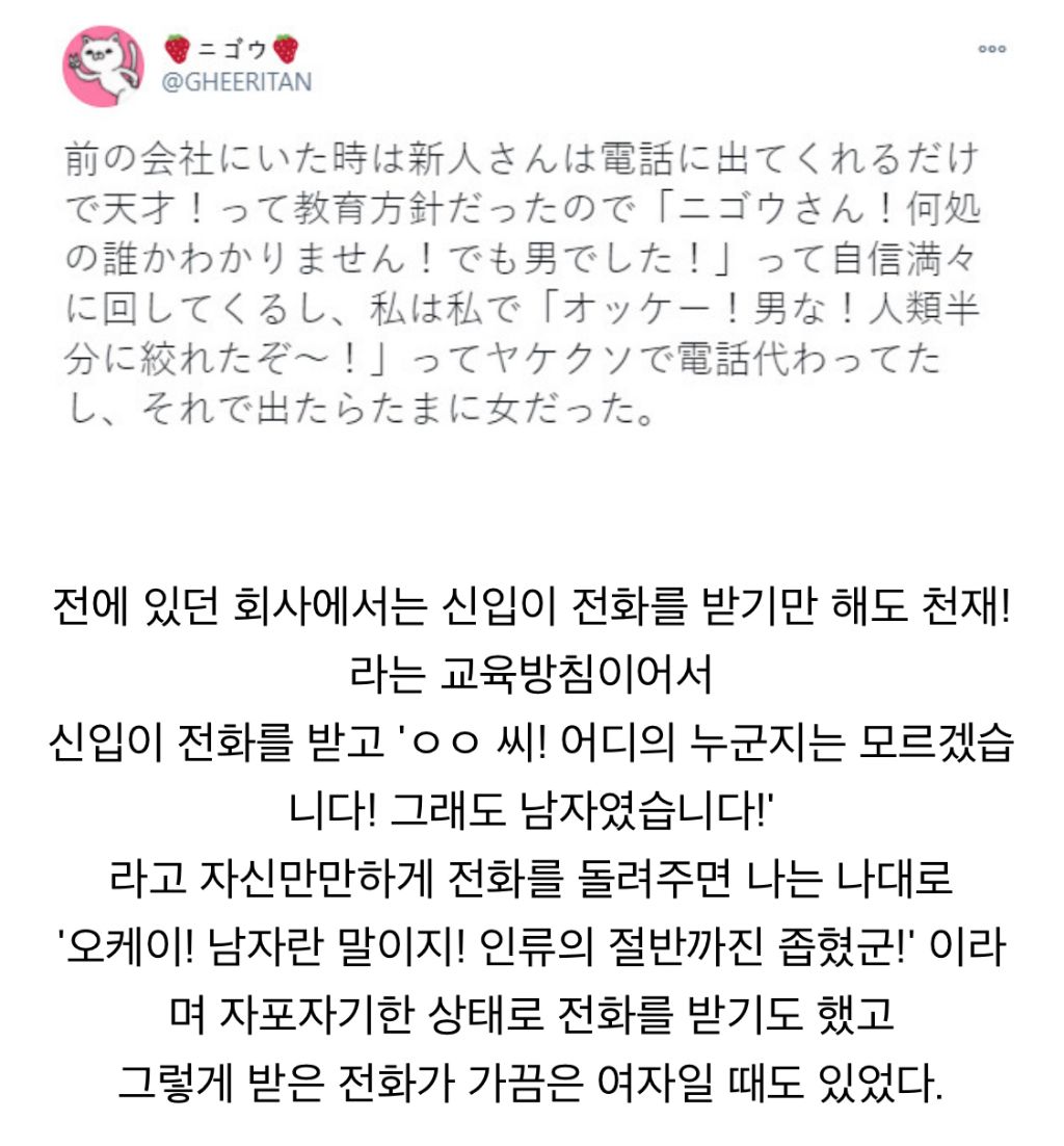 신입 사원을 오냐오냐 해주는 회사 | 인스티즈