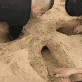인간들 놀이에 끼고싶은 댕댕이 | 인스티즈
