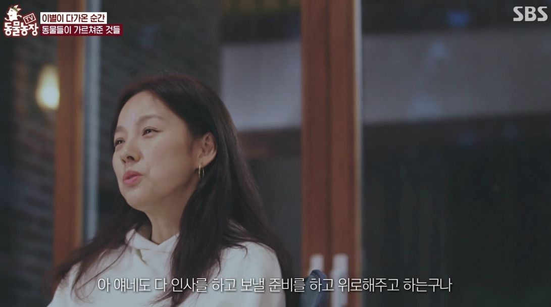 이효리 반려견 순심이가 죽기 전 다른 동물들이 보인 반응 | 인스티즈