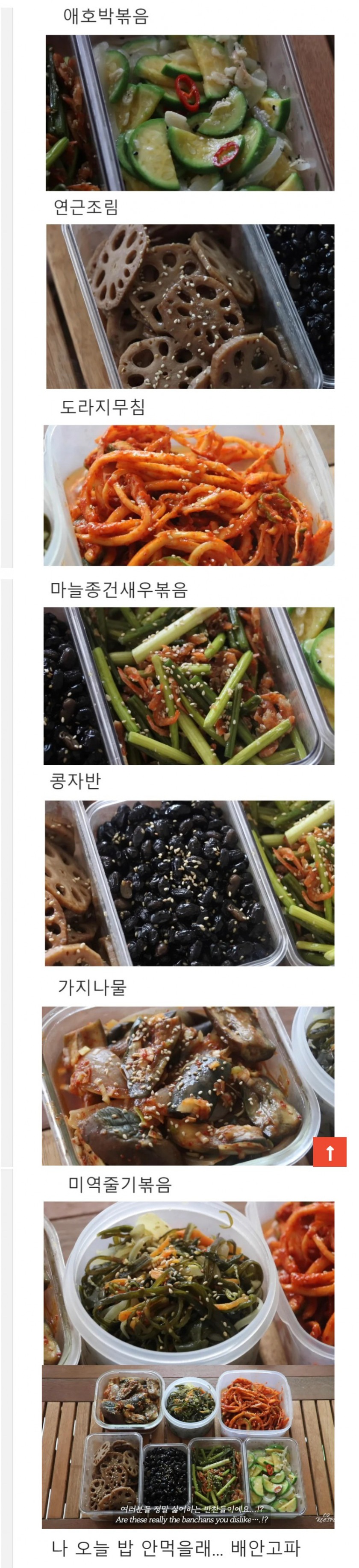 밥경찰 모음.jpg | 인스티즈