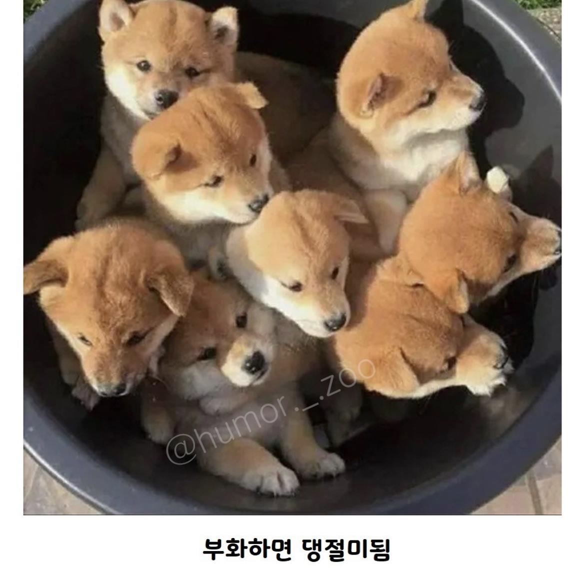 상온에 두지 마세요.jpg | 인스티즈