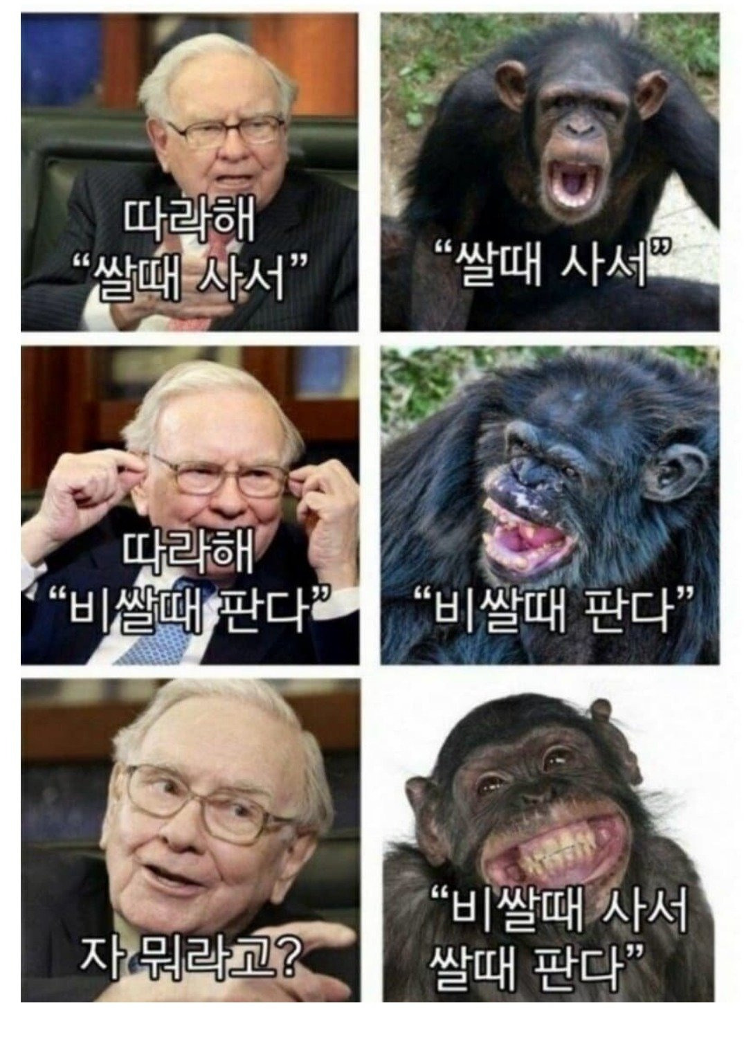 따라해 "쌀 때 사서 비쌀 때" | 인스티즈