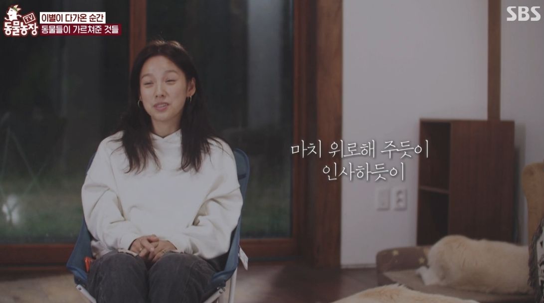 이효리 반려견 순심이가 죽기 전 다른 동물들이 보인 반응 | 인스티즈