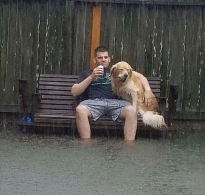 산책 나갔다가 갑자기 폭우 내려서 해탈한 개와 반려인 | 인스티즈