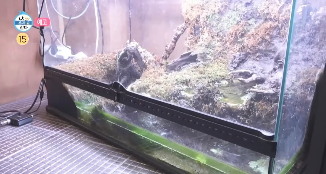 [나혼자산다 예고] 김대호 아나운서의 뉴 하우스 | 인스티즈