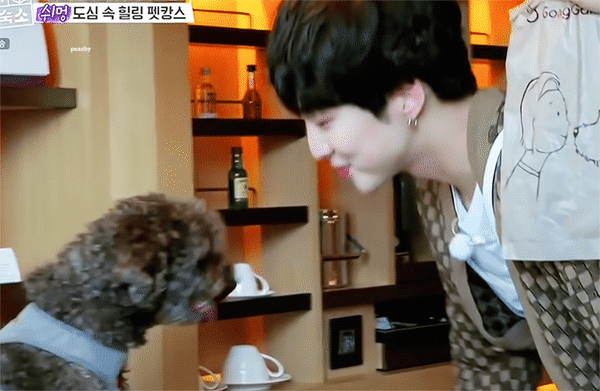 보는 사람도 행복해지는 강승윤 강아지 토르의 변화.jpg | 인스티즈