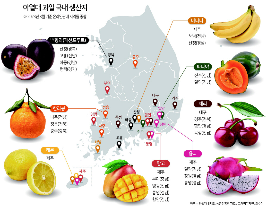 기후위기가 바꾼 한반도 과일지도 | 인스티즈