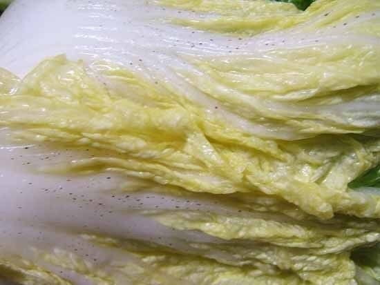 의외로 못먹는 사람이 꽤 많은 김치 | 인스티즈