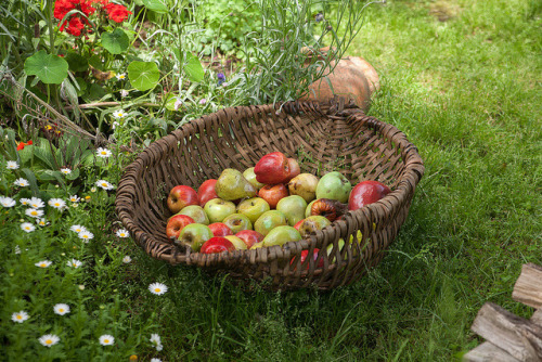 지극히 평화롭고 사랑스러운 | 인스티즈