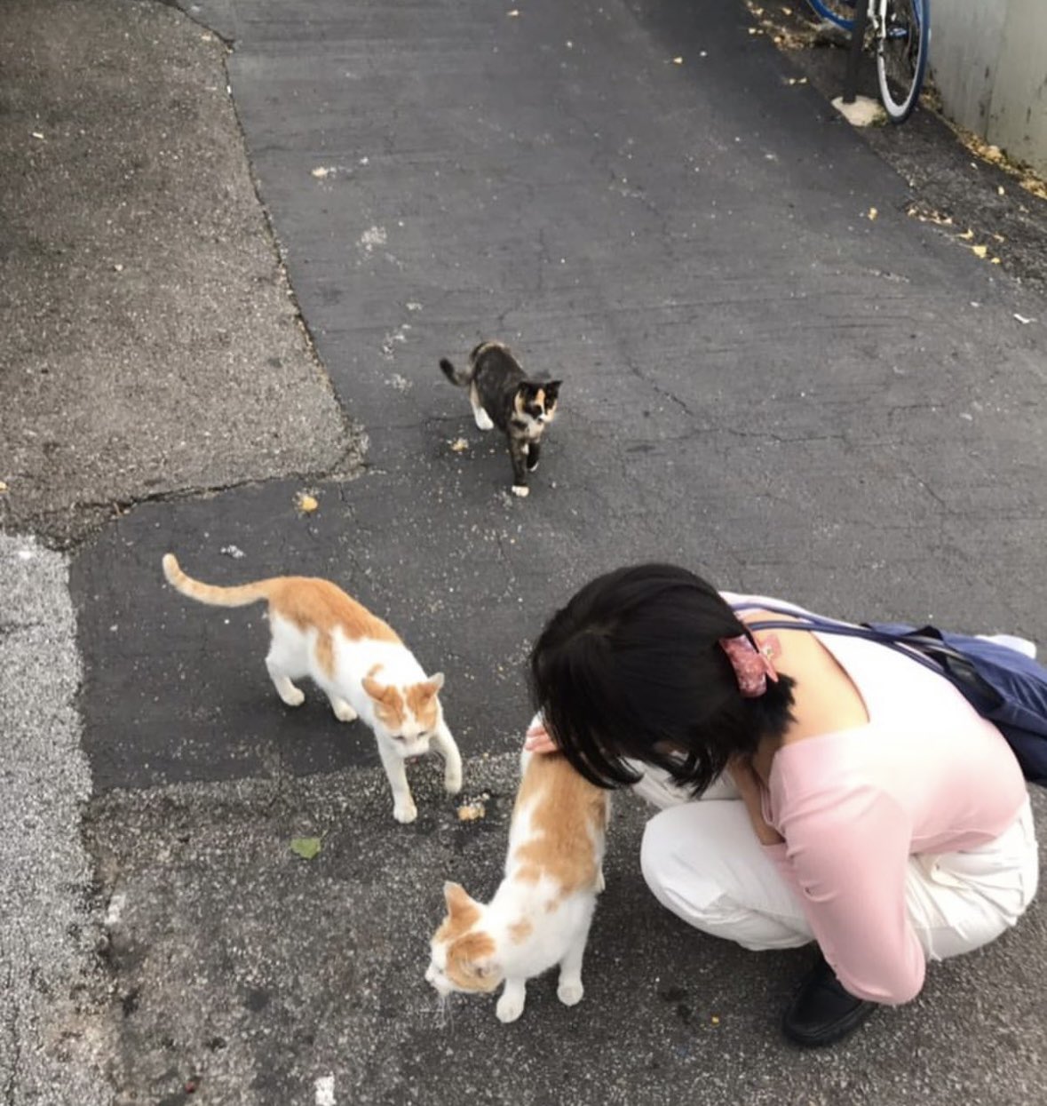 주현영 과거 인스타그램 | 인스티즈