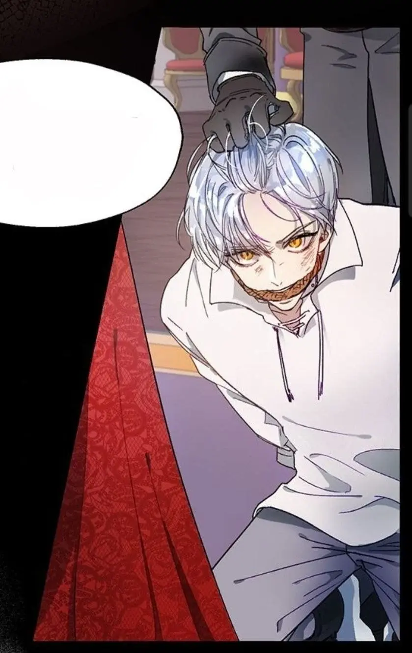 은발 로판 남주.jpg | 인스티즈