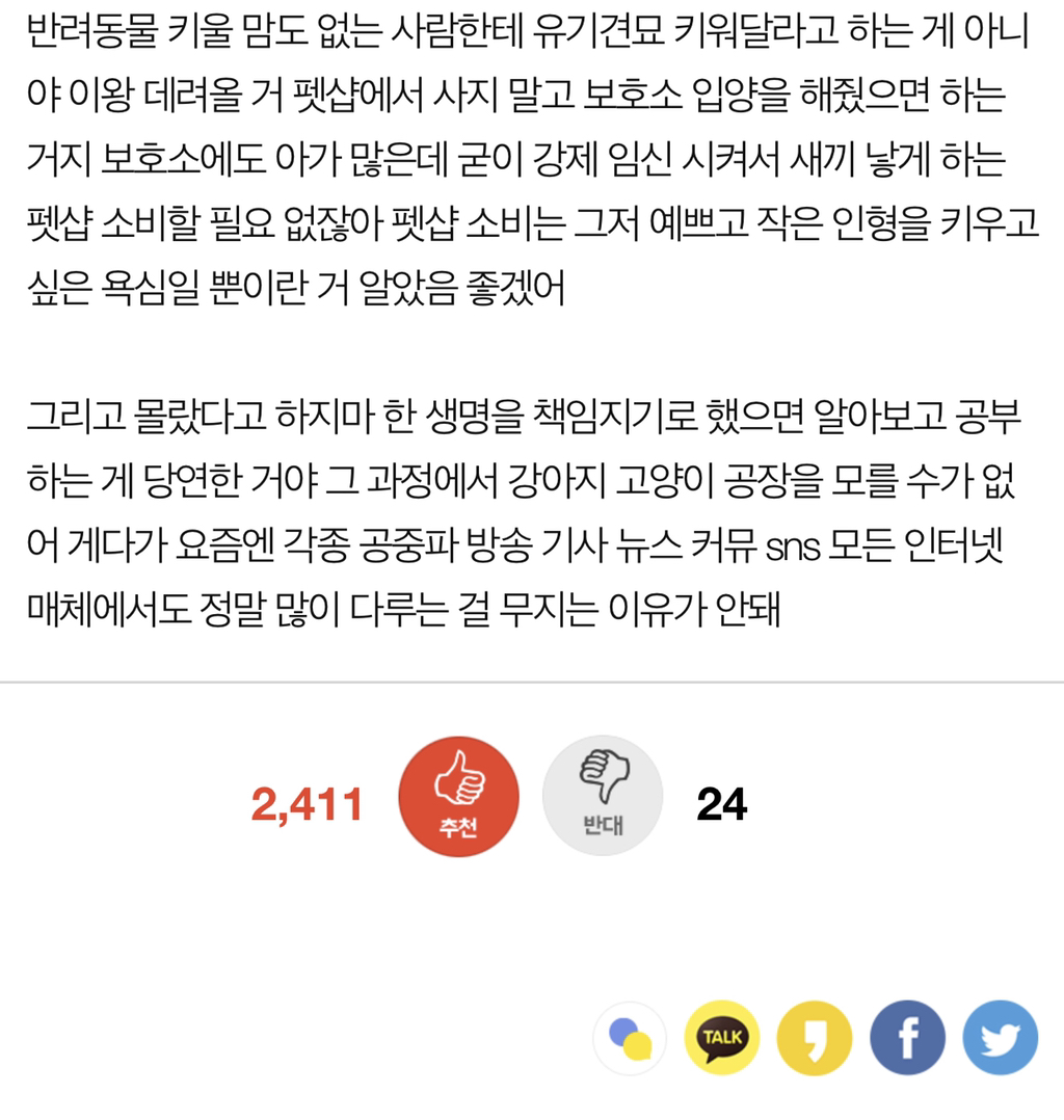 보호소에도 애기 많아 | 인스티즈