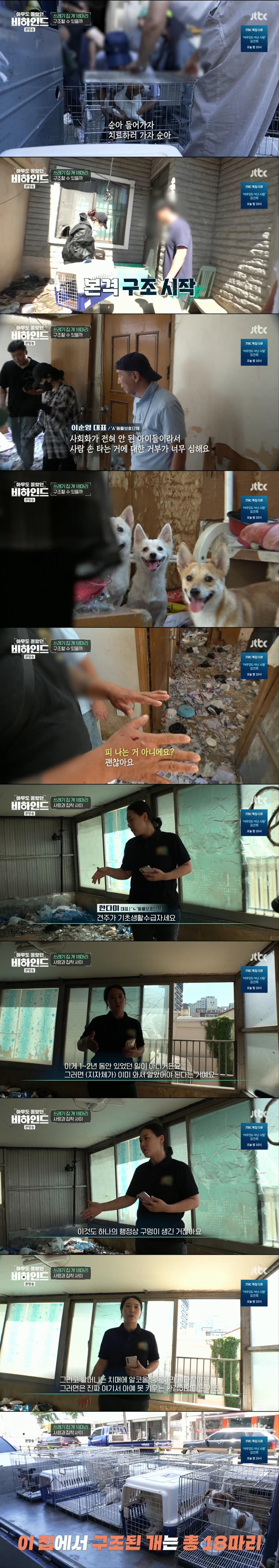 할머니와 할아버지와 함께 쓰레기집에서 살던 18마리의 강아지들 | 인스티즈