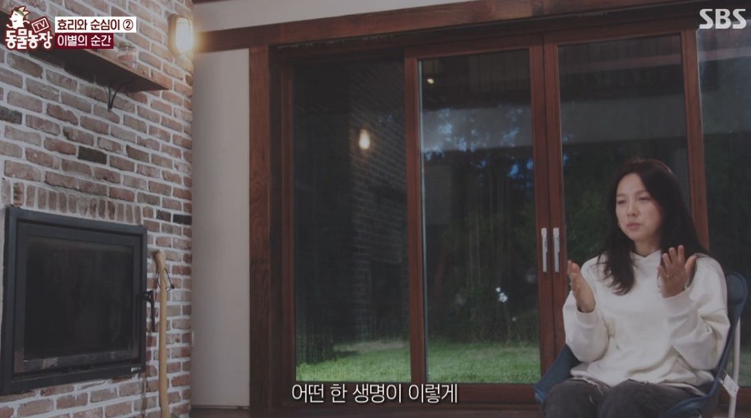이효리 반려견 순심이가 죽기 전 다른 동물들이 보인 반응 | 인스티즈