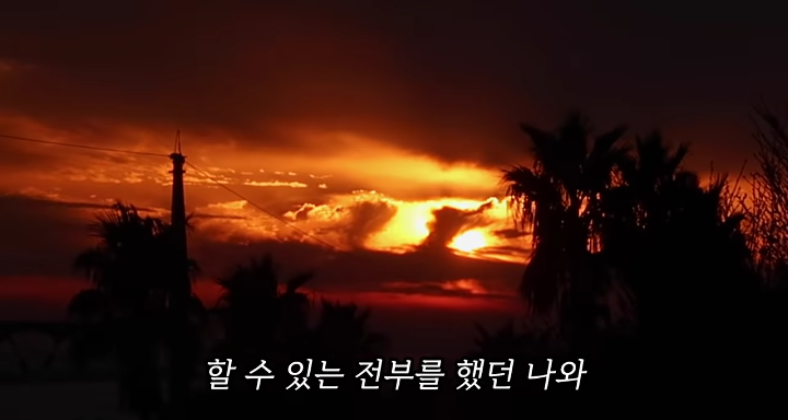 반려묘를 떠나보낸 유튜버가 올린 영상 | 인스티즈