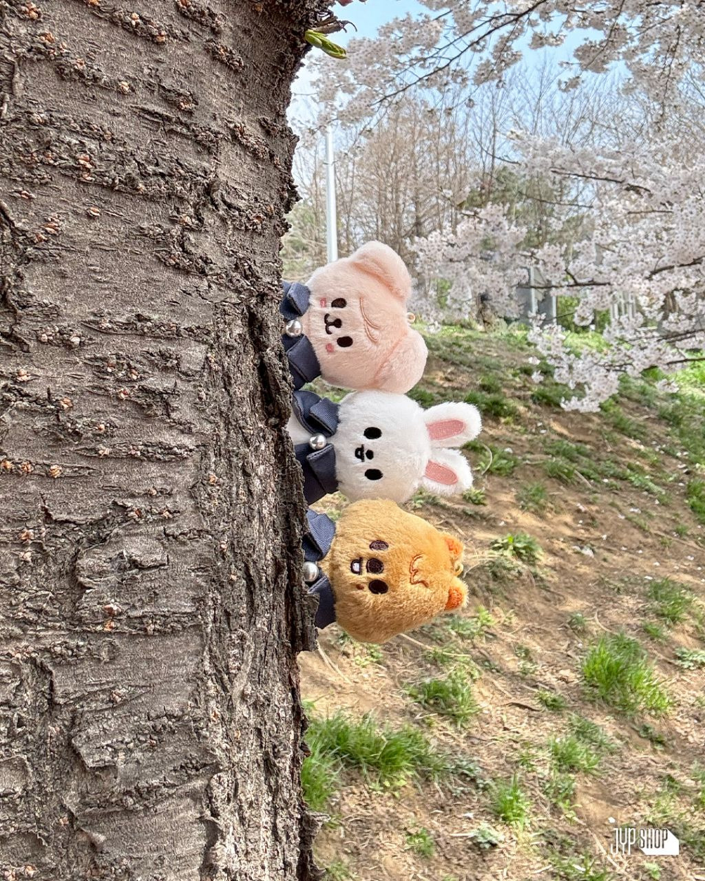 제왑에서 굿즈 예약판매 마감 전날 주는 사진들 | 인스티즈