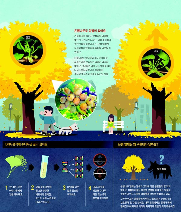 은행나무 알았다 vs 몰랐다 | 인스티즈