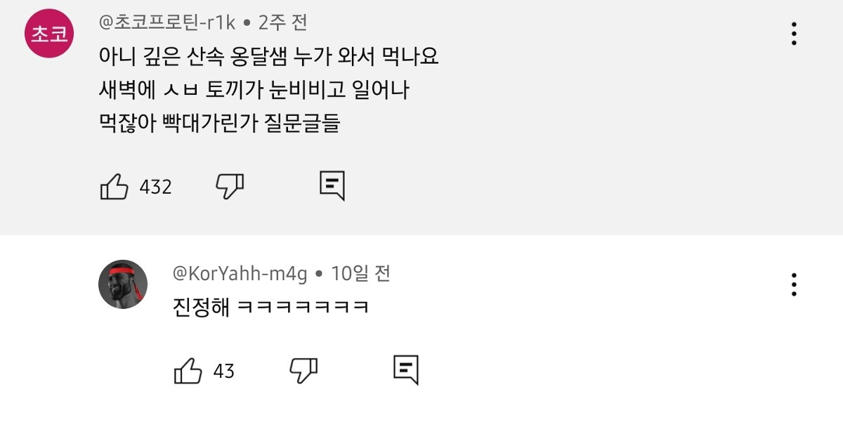 토끼가 물마시면 죽어요?? | 인스티즈