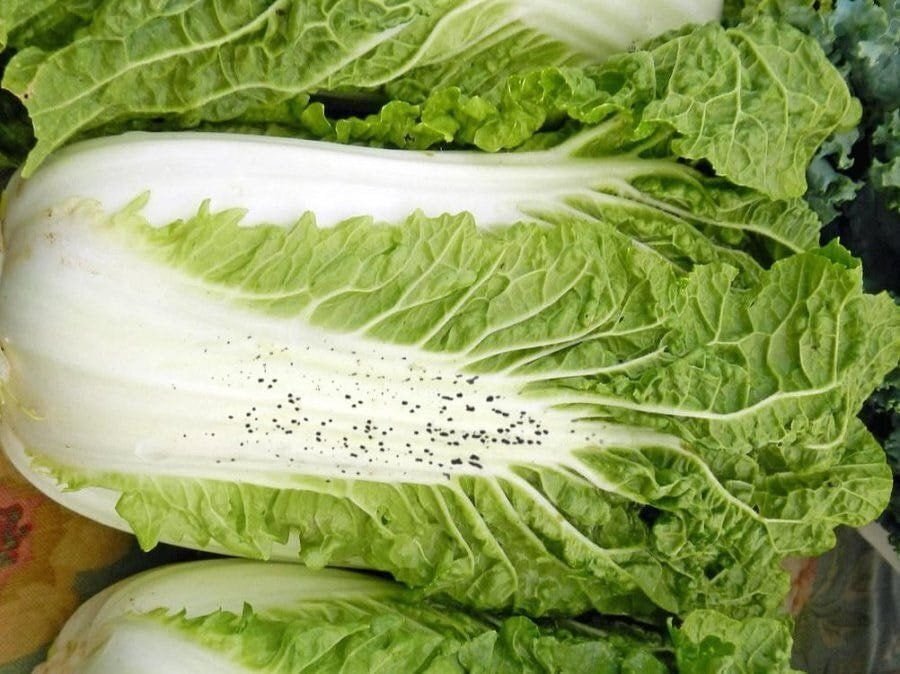 의외로 못먹는 사람이 꽤 많은 김치 | 인스티즈