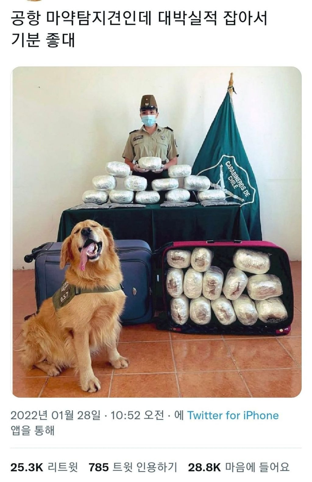 실적 대박난 공항 마약탐지견 | 인스티즈